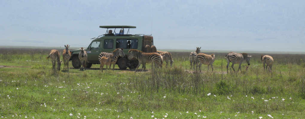 Ngorongoro-Crater-Game-Drives-1