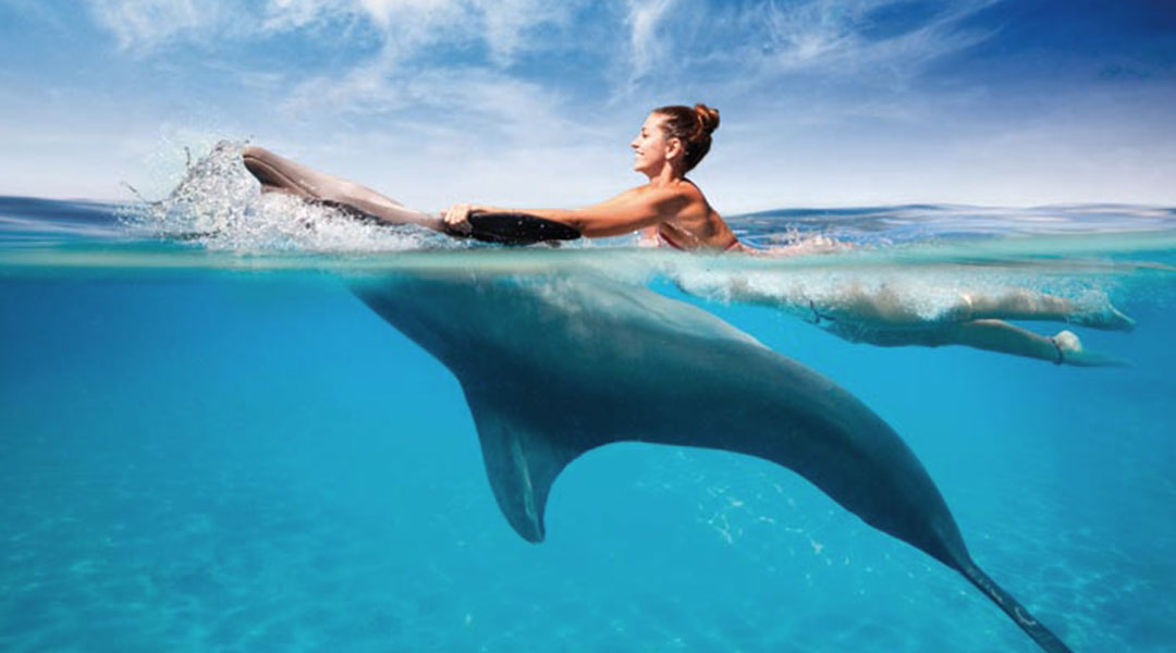 zanzibar-dolphine-tour